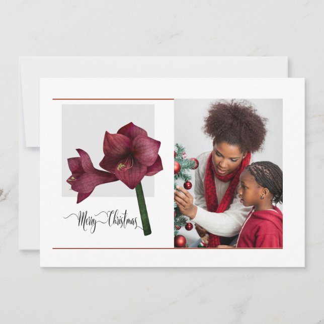 Cartes Pour Fêtes Annuelles Elégante 1 photo avec Fleur Amaryllis, Noël (Devant)