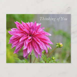 Cartes Pour Fêtes Annuelles Elégante rose Dahlia Fleurs de Jardin Penser à vou