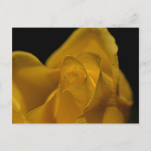 Cartes Pour Fêtes Annuelles Élégante Rose jaune simple gros haut