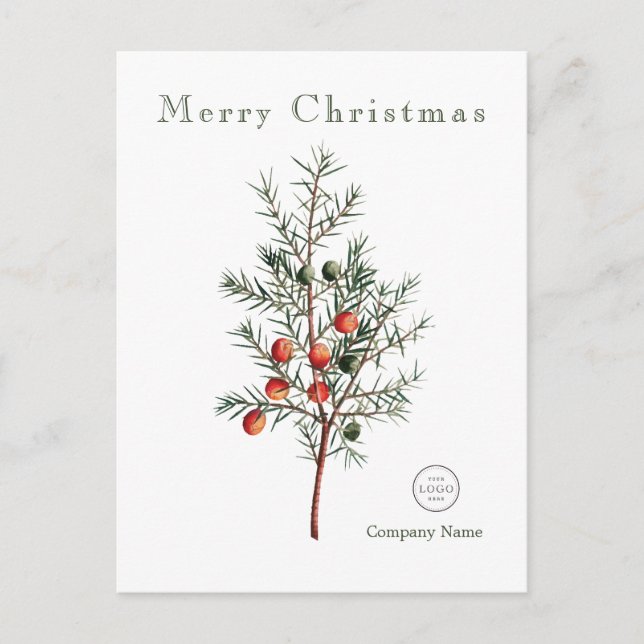Cartes Pour Fêtes Annuelles Elégante verdure Berries de Noël (Devant)
