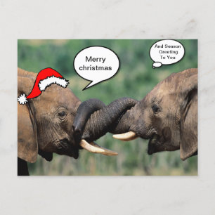 Cartes Pour Fêtes Annuelles Éléphant de Noël