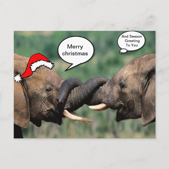 Cartes Pour Fêtes Annuelles Éléphant de Noël (Devant)
