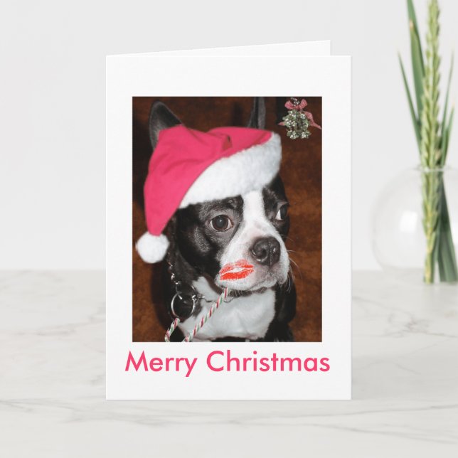 Cartes Pour Fêtes Annuelles Embrasse-moi Boston Terrier (Devant)