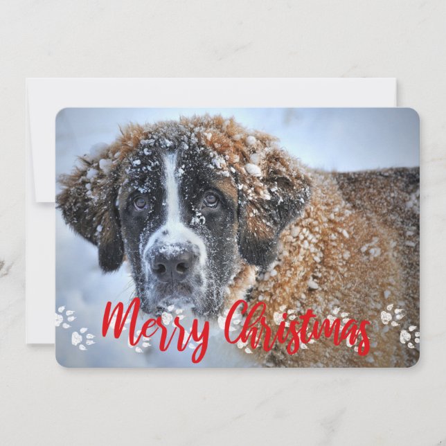 Cartes Pour Fêtes Annuelles empreintes de pattes, 2 Photo, Joyeux Noël, Animau (Devant)