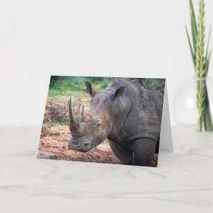 Cartes Pour Fêtes Annuelles Endangered rhino