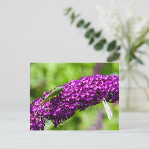 Cartes Pour Fêtes Annuelles énergie katydone