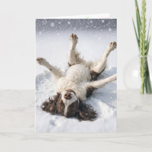 Cartes Pour Fêtes Annuelles English Springer Spaniel Ange de Neige
