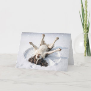 Cartes Pour Fêtes Annuelles English Springer Spaniel faisant un ange de neige