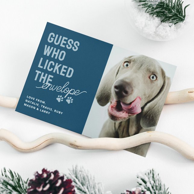 Cartes Pour Fêtes Annuelles Enveloppes de Noël avec photo de animal de compagn (Créateur téléchargé)