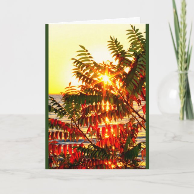 Cartes Pour Fêtes Annuelles Envoi Chaleureux Noël Souhaite Votre Chemin! (Devant)