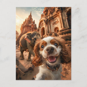 Cartes Pour Fêtes Annuelles Épagneul King Charles dans le temple d'Ankor
