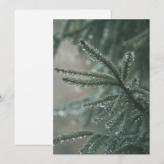 Cartes Pour Fêtes Annuelles Épicéa vert de près, esthétique de Noël