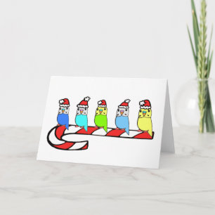 Cartes Pour Fêtes Annuelles Épouses - Noël
