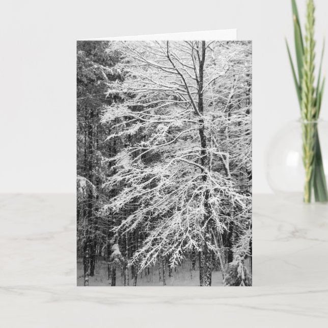 Cartes Pour Fêtes Annuelles Érable En Neige (Devant)