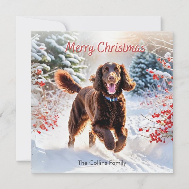Cartes Pour Fêtes Annuelles Espagnol Irlandais D'Eau En Hiver Neige Joyeux Noë (Devant)