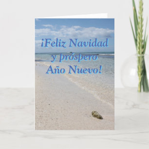 Cartes Pour Fêtes Annuelles Espagnol Isla Saona Caribbean Beach Joyeux Noël