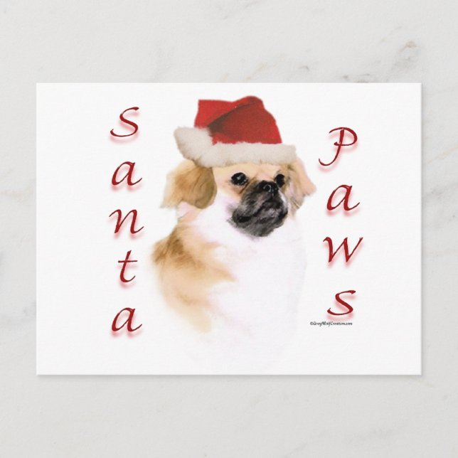 Cartes Pour Fêtes Annuelles Espagnol tibétain Père Noël Paws (Devant)