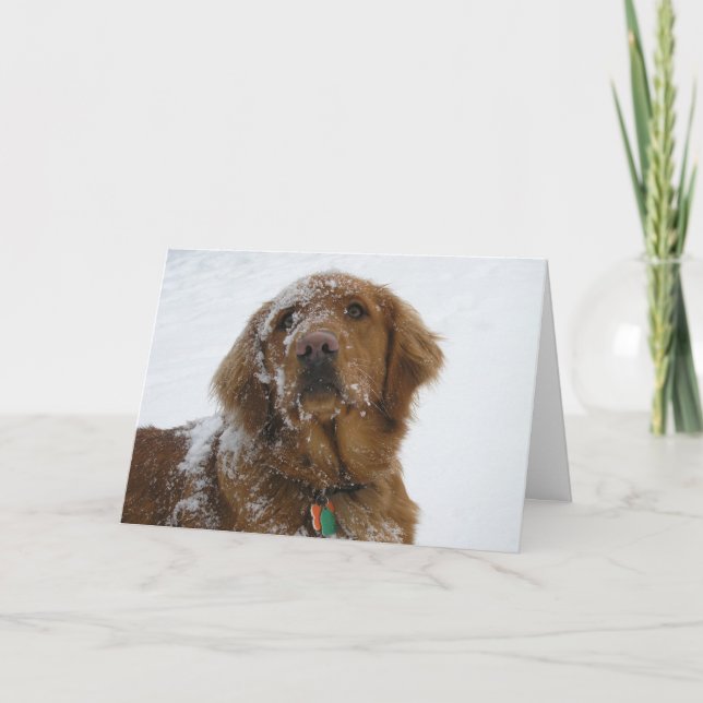 Cartes Pour Fêtes Annuelles Espérons Que Vos Vacances Sont Dorées (Devant)