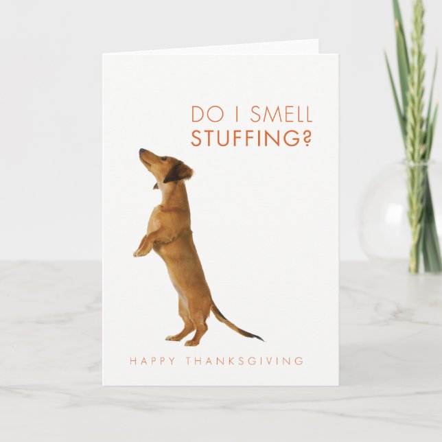 Cartes Pour Fêtes Annuelles Est-ce que je sens bourrant ? Thanksgiving de (Devant)