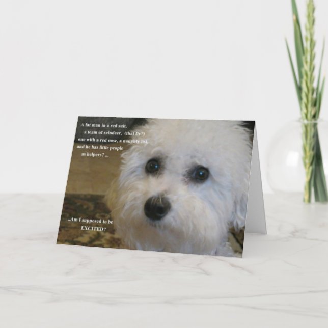 Cartes Pour Fêtes Annuelles Est-ce que je suis supposé être excité ? (Devant)