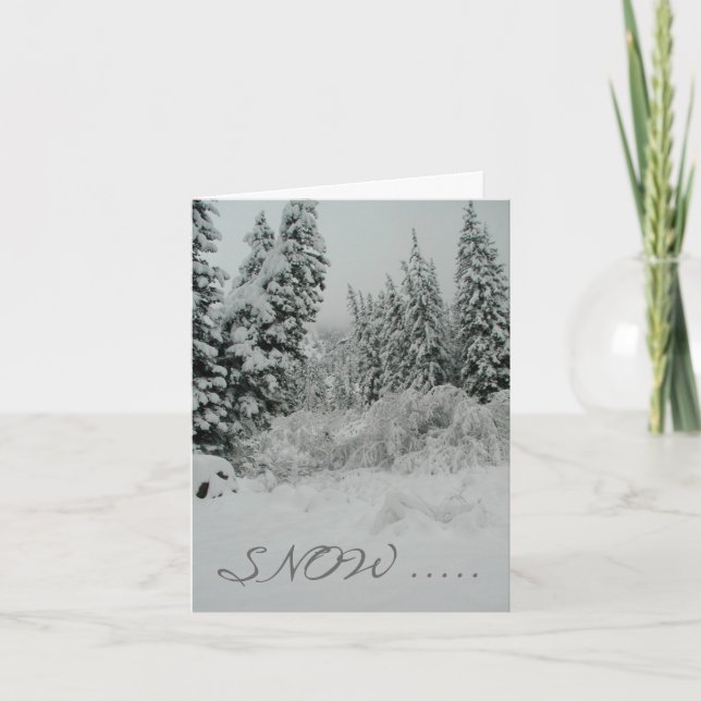 Cartes Pour Fêtes Annuelles Estes Park, Colorado (Devant)