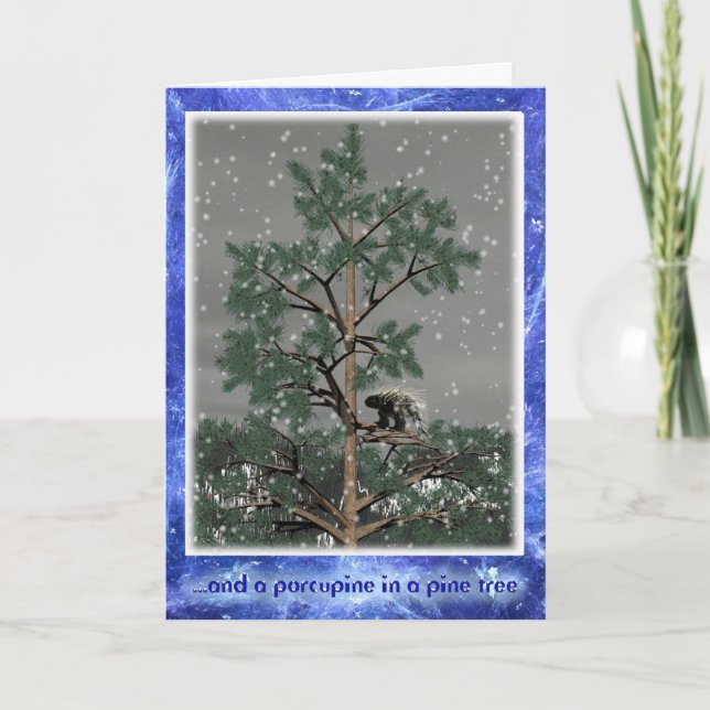 Cartes Pour Fêtes Annuelles Et Une Porcupine Dans Un Pin Tree (Devant)