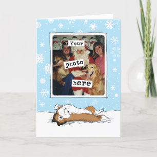 Cartes Pour Fêtes Annuelles Étagère   Shetland Sheepdog Noël   Votre photo