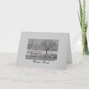 Cartes Pour Fêtes Annuelles Étang d'hiver