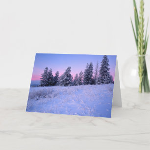 Cartes Pour Fêtes Annuelles États-Unis, Washington, Spokane County, Browne Mou