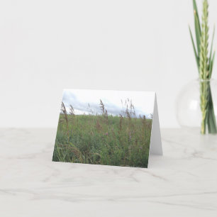 Cartes Pour Fêtes Annuelles Été