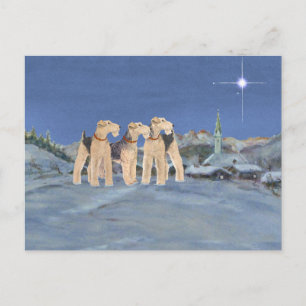 Cartes Pour Fêtes Annuelles Étoile de Noël
