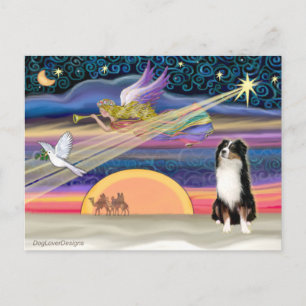 Cartes Pour Fêtes Annuelles Étoile de Noël - Berger Australien (Tri)