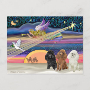 Cartes Pour Fêtes Annuelles Étoile de Noël - Caniches (trois jouets) -