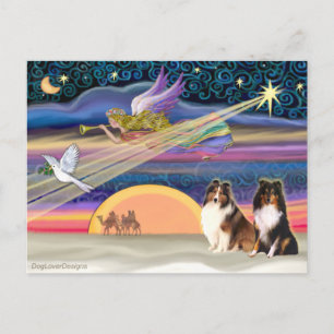 Cartes Pour Fêtes Annuelles Étoile de Noël - Chien de mer de Shetland (2)