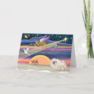 Cartes Pour Fêtes Annuelles Étoile de Noël - Pekingese (blanc)