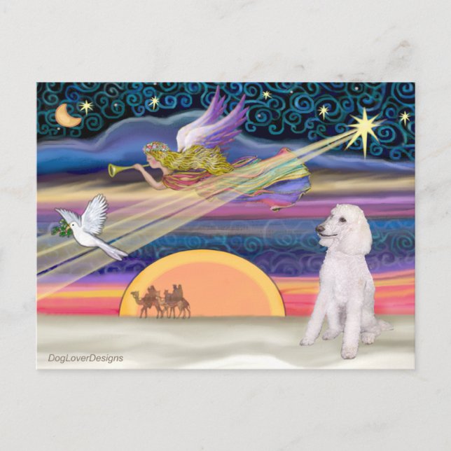 Cartes Pour Fêtes Annuelles Étoile de Noël - Poodle (standard blanc) - (Devant)