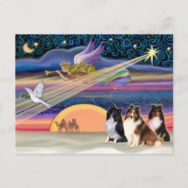 Cartes Pour Fêtes Annuelles Étoile de Noël - Shetland Sheepdogs (trois) (Devant)