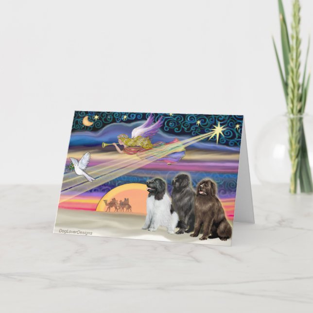 Cartes Pour Fêtes Annuelles Étoile de Noël - Terre-Neuve (trois) (Devant)