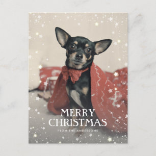 Cartes Pour Fêtes Annuelles Étoiles photo personnalisées Noël de neige
