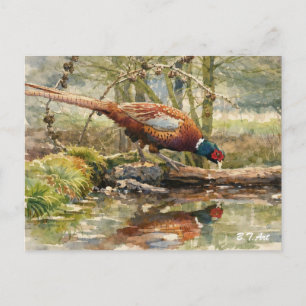 Cartes Pour Fêtes Annuelles Faisan