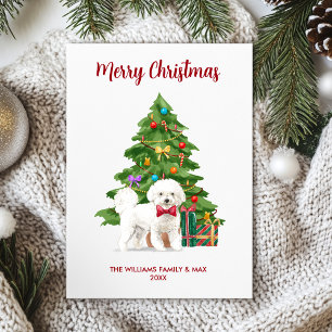 Cartes Pour Fêtes Annuelles Famille de chien Bichon Frise Noël
