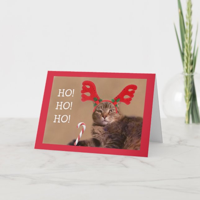 Cartes Pour Fêtes Annuelles Fantaisie Chat Et Sucre de canne Noël (Devant)