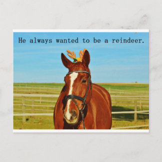 Cartes Pour Fêtes Annuelles Fantaisie Humour Cheval Reindeer Noël Noël Noël No