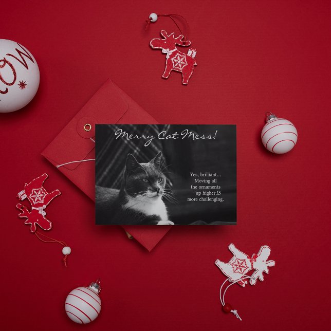 Cartes Pour Fêtes Annuelles Fantaisie Merry Cat Mess Noël (Créateur téléchargé)