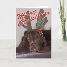 Cartes Pour Fêtes Annuelles Fantastique Labrador de Noël avec collier de Parti