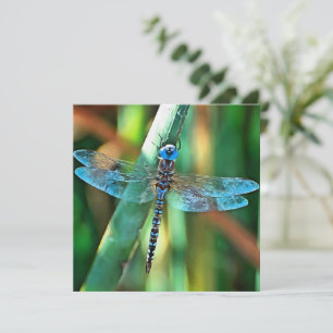 Cartes Pour Fêtes Annuelles Fantasy Dragonfly