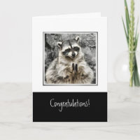 Félicitations à Funny Clapping Raccoon Pet