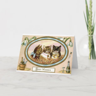 Cartes Pour Fêtes Annuelles Félicitations de trio de chat - occasion spéciale