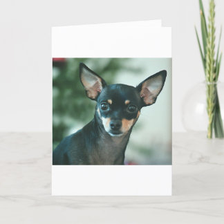 Cartes Pour Fêtes Annuelles Feliz Navidad