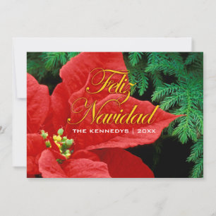 Cartes Pour Fêtes Annuelles Feliz Navidad - Red Poinsettia et Fir Bow